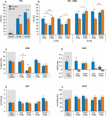 Effects of iTBS-rTMS on the Behavioral Phenotype of a Rat Model of Maternal Immune Activation